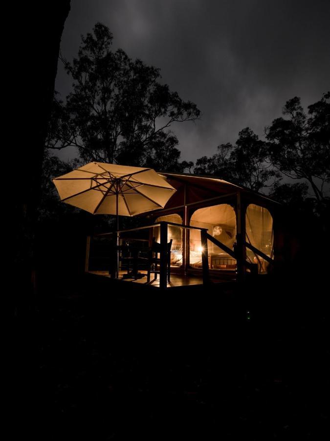 Wild Nature Lodge, Mareeba Wetlands Biboohra Екстериор снимка