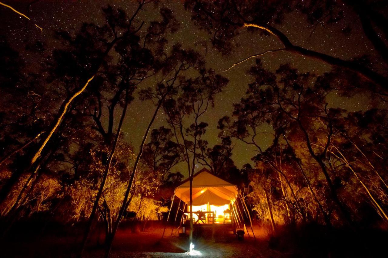 Wild Nature Lodge, Mareeba Wetlands Biboohra Екстериор снимка
