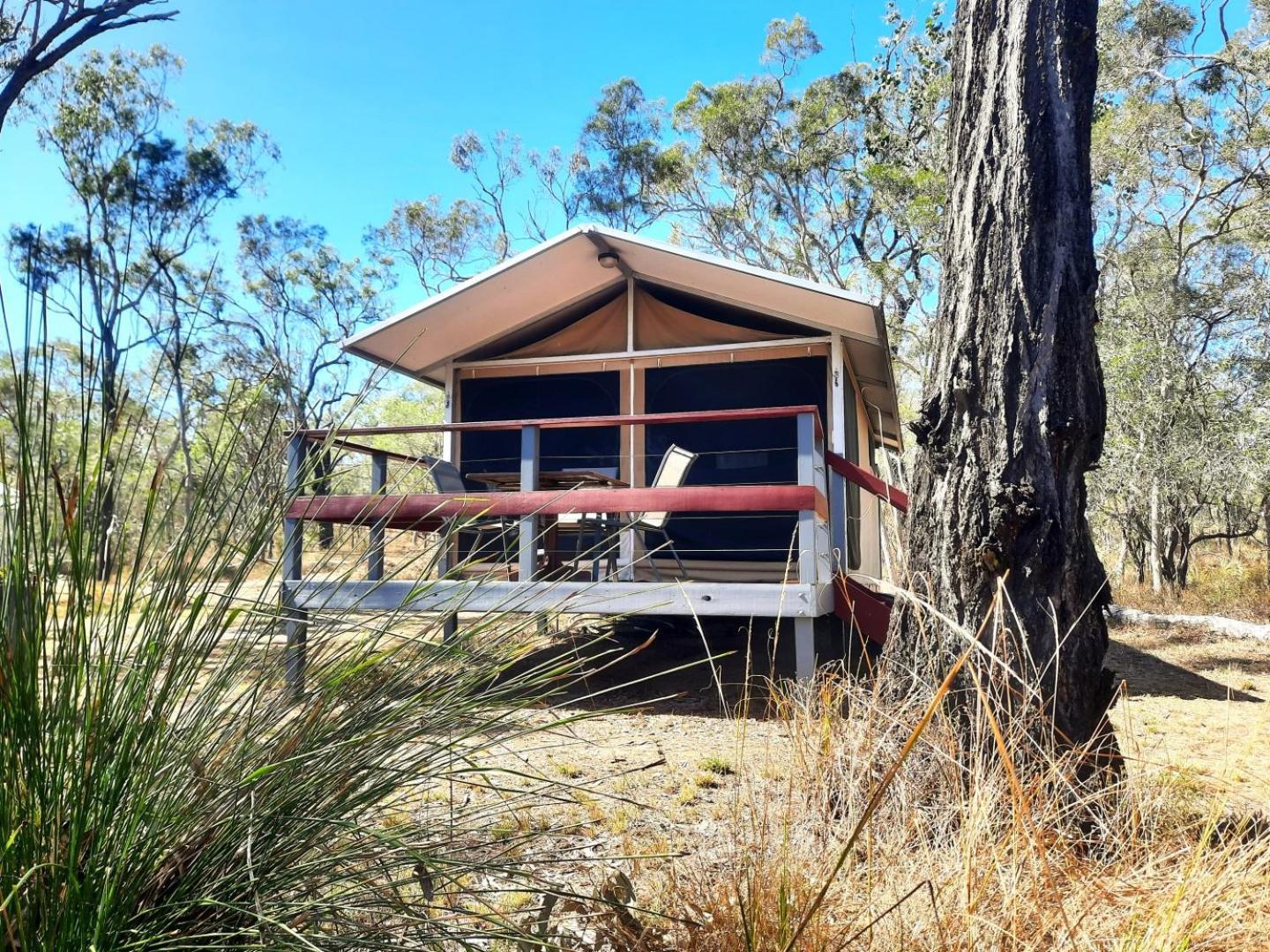 Wild Nature Lodge, Mareeba Wetlands Biboohra Екстериор снимка